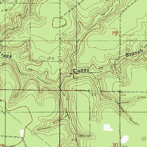 Topographic Map of Caney Branch, LA