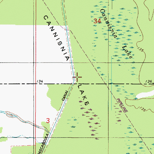 Topographic Map of Cannisnia Lake Basin, LA