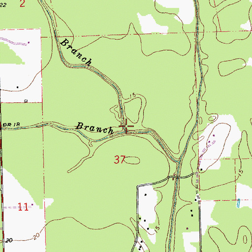 Topographic Map of Cedar Branch, LA