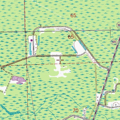 Topographic Map of Chacahoula Oil and Gas Field, LA