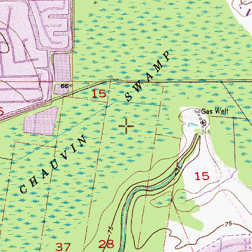 Topographic Map of Chauvin Swamp, LA