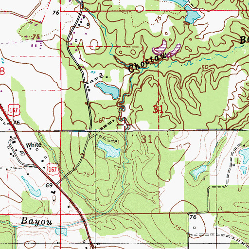 Topographic Map of Choctaw Bayou, LA