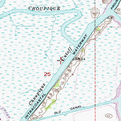Topographic Map of Choupique Cutoff, LA