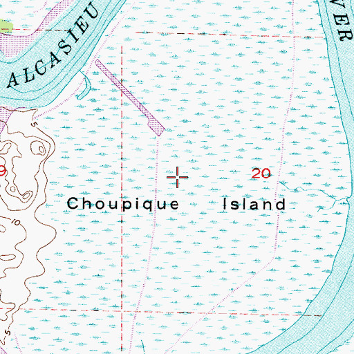Topographic Map of Choupique Island, LA