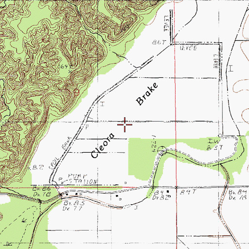 Topographic Map of Cleora Brake, LA