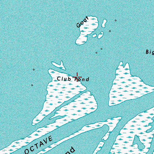 Topographic Map of Club Pond, LA
