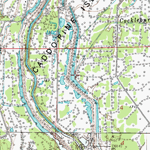 Topographic Map of Cocklebur Bayou, LA