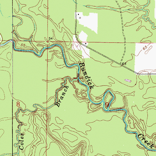 Topographic Map of Coles Branch, LA
