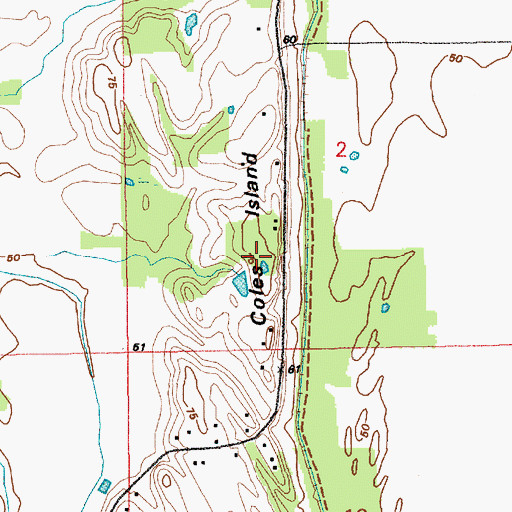 Topographic Map of Coles Island, LA