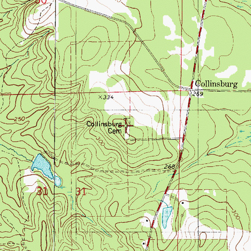 Topographic Map of Collinsburg Cemetery, LA