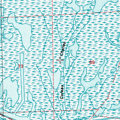 Topographic Map of Coteau Charles, LA