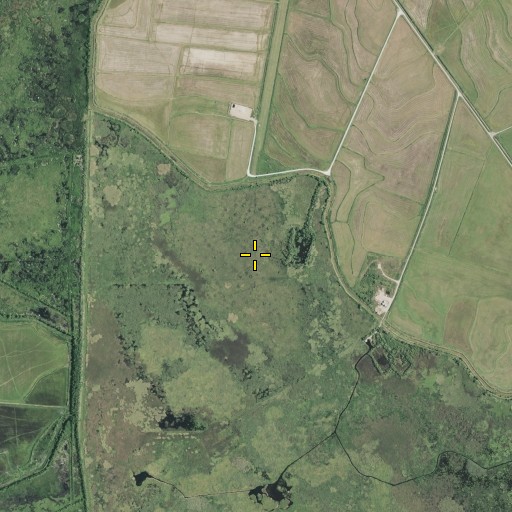 Aerial/Satellite Image of Coto Plot, LA