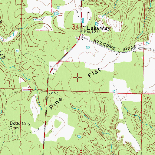 Topographic Map of Pine Flat, AR
