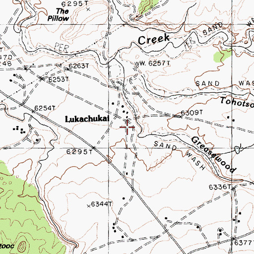 Topographic Map of Greasewood Wash, AZ