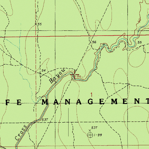Topographic Map of Cross Bayou, LA