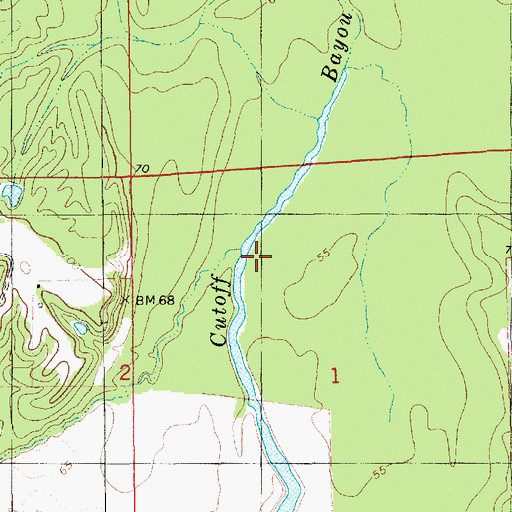 Topographic Map of Cutoff Bayou, LA