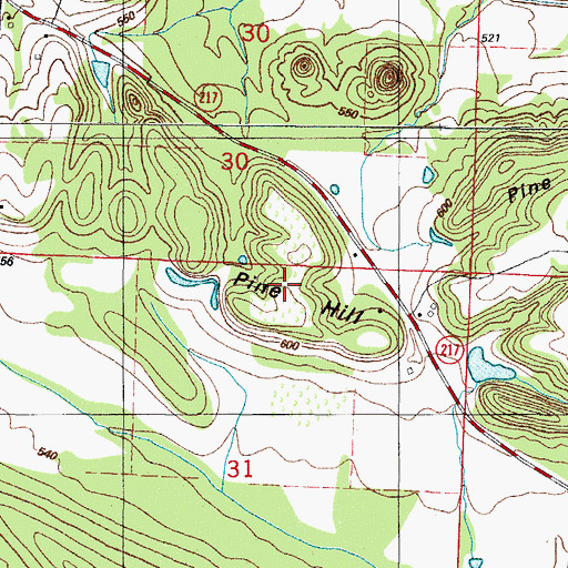 Topographic Map of Pine Hill, AR