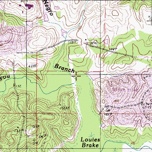 Topographic Map of Dead Negro Branch, LA