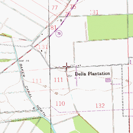 Topographic Map of Delia Plantation, LA