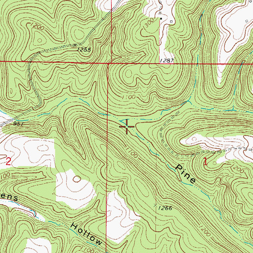 Topographic Map of Pine Hollow, AR