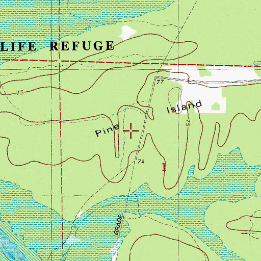 Topographic Map of Pine Island, AR
