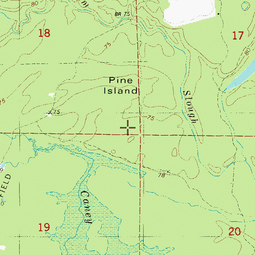 Topographic Map of Pine Island, AR