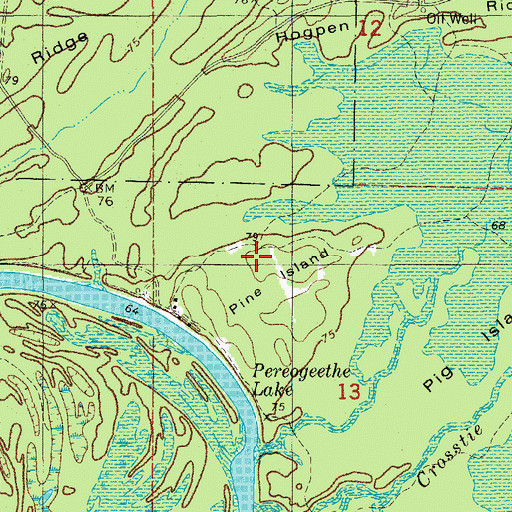 Topographic Map of Pine Island, AR