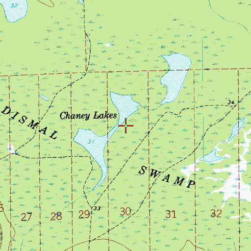 Topographic Map of Dismal Swamp, LA