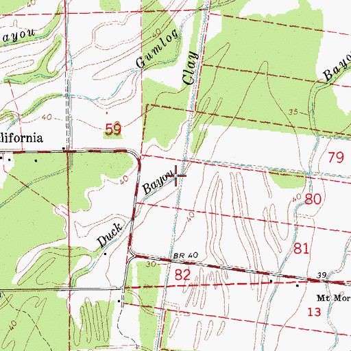 Topographic Map of Duck Bayou, LA