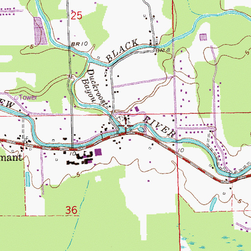 Topographic Map of Duckroost Bayou, LA