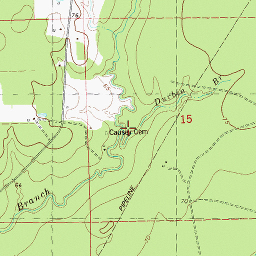Topographic Map of Durbin Branch, LA