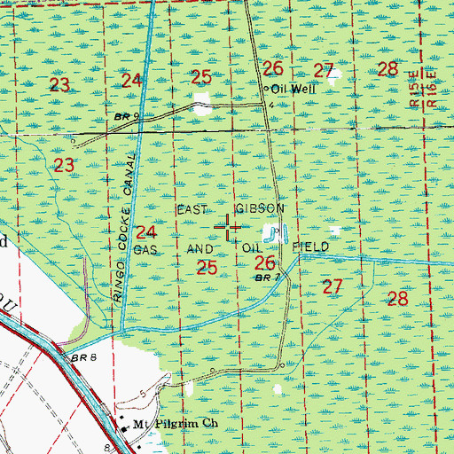Topographic Map of East Gibson Gas and Oil Field, LA