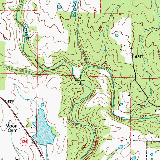 Topographic Map of Piney Creek, AR