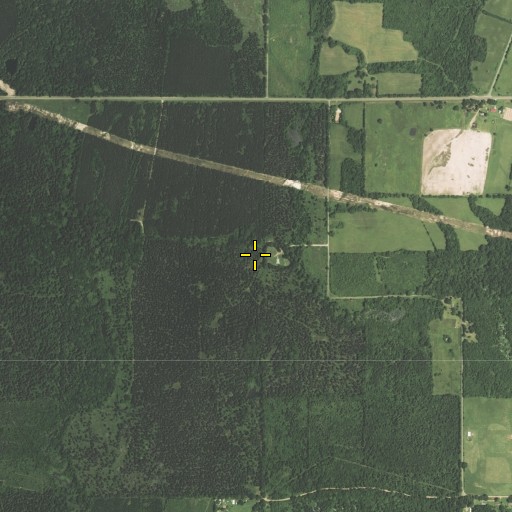 Aerial/Satellite Image of Elizabeth School, LA