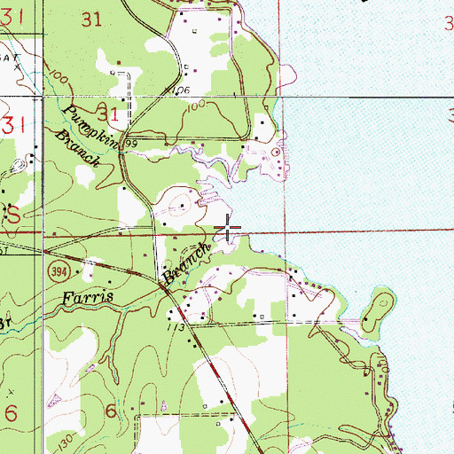Topographic Map of Farris Branch, LA