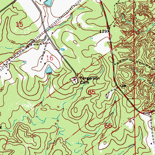 Topographic Map of Fergerson Cemetery, LA