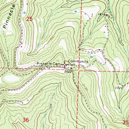 Topographic Map of Pinnacle Cemetery, AR