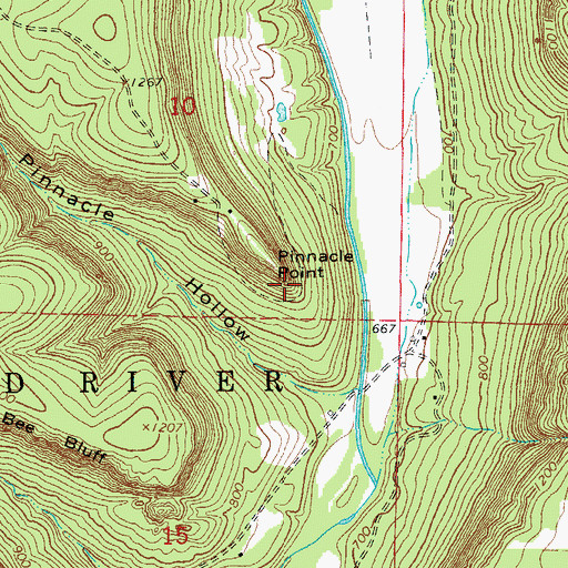 Topographic Map of Pinnacle Point, AR