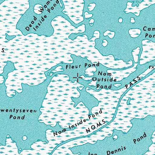 Topographic Map of Fleur Pond, LA