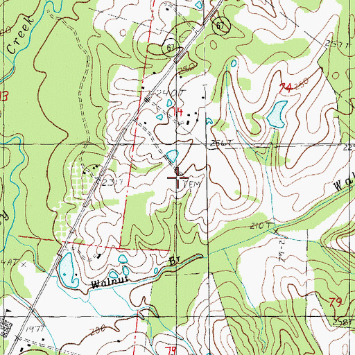 Topographic Map of Flynn Cemetery, LA