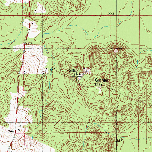 Topographic Map of Galilee Church, LA