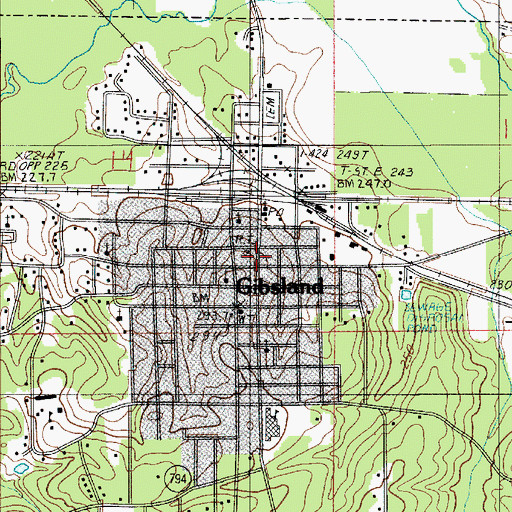 Topographic Map of Gibsland, LA