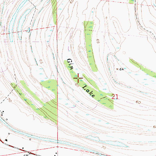 Topographic Map of Gin Lake, LA