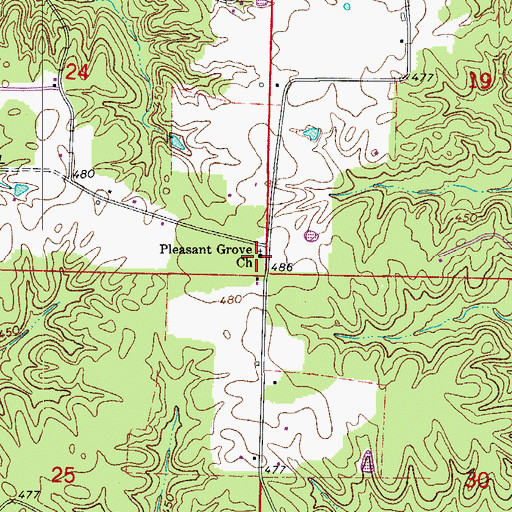 Topographic Map of Pleasant Grove Church, AR