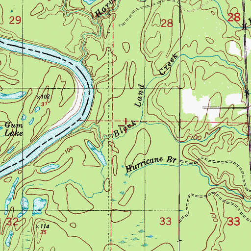 Topographic Map of Hurricane Branch, LA