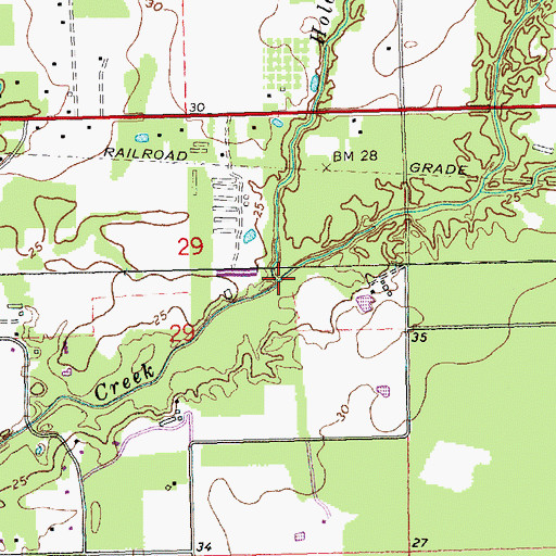 Topographic Map of Holden Branch, LA