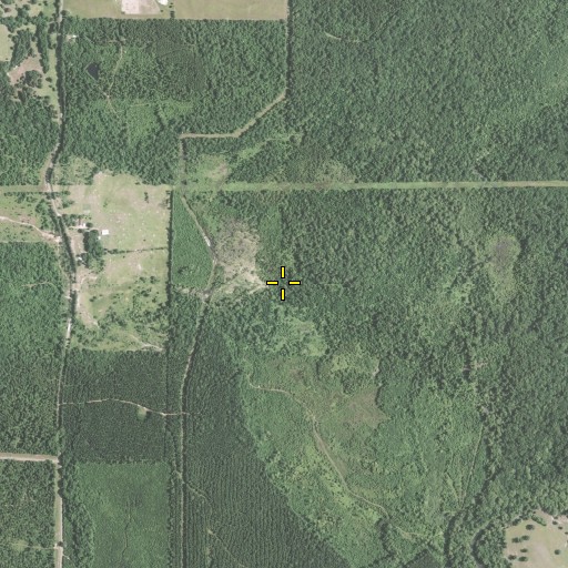 Aerial/Satellite Image of Howell Creek, LA
