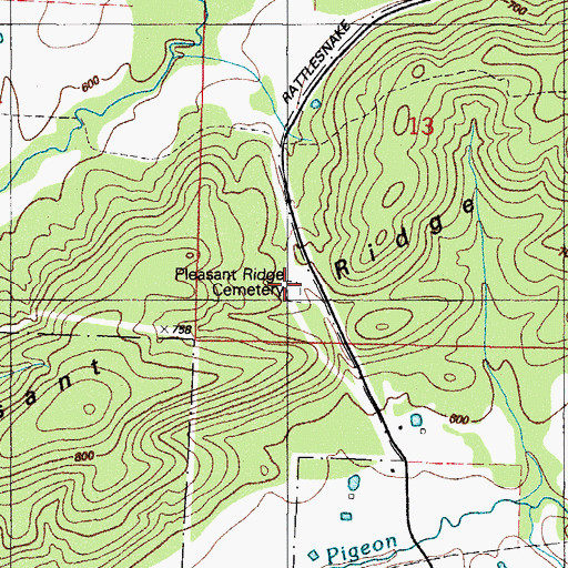 Topographic Map of Pleasant Ridge Cemetery, AR