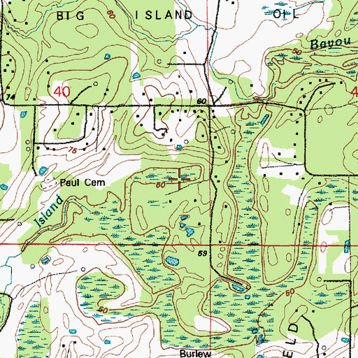 Topographic Map of Island Bayou, LA