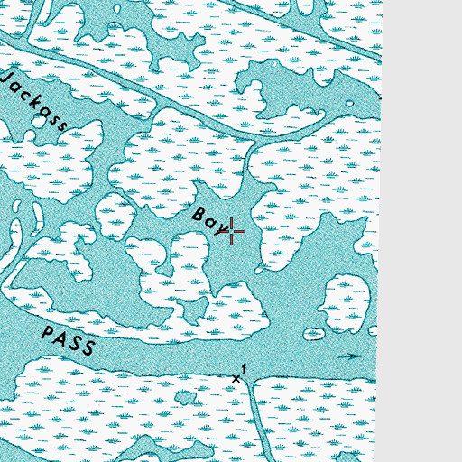 Topographic Map of Jackass Bay, LA